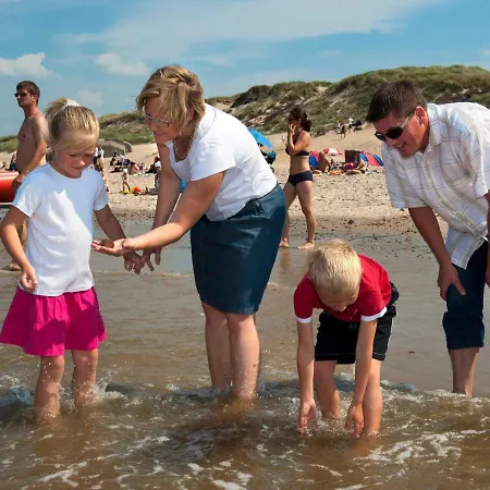 Cv Ringkøbing